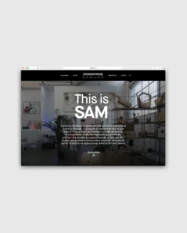 SAM Milano — uagb, immagine 15