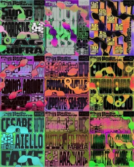 Plug Radio — uagb, immagine 28