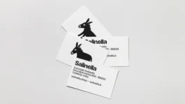 Salinella — uagb, immagine 4