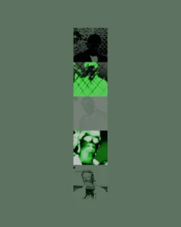 EVAR — uagb, immagine 27