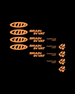 Brain in Vat — uagb, immagine 8