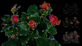Aura T-09 - Botanical Noise — uagb, immagine 1