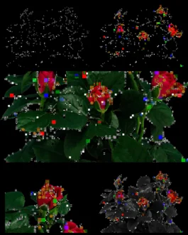 Aura T-09 - Botanical Noise — uagb, immagine 4